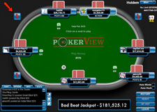 pokerview review